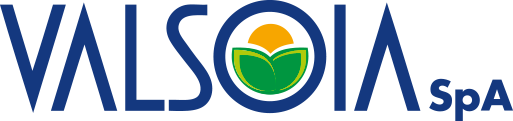 Valsoia